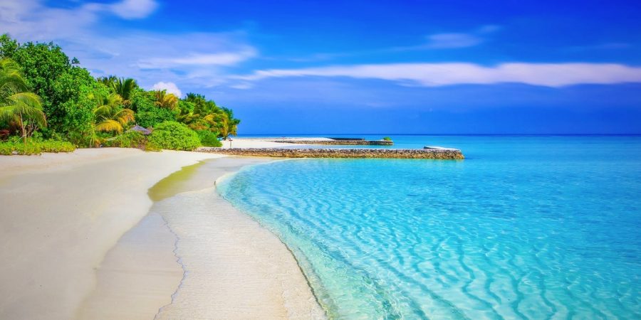 Cool Facts About Miami Beach