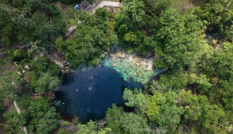Aerial view of a clear freshwater spring surrounded by dense Florida forest