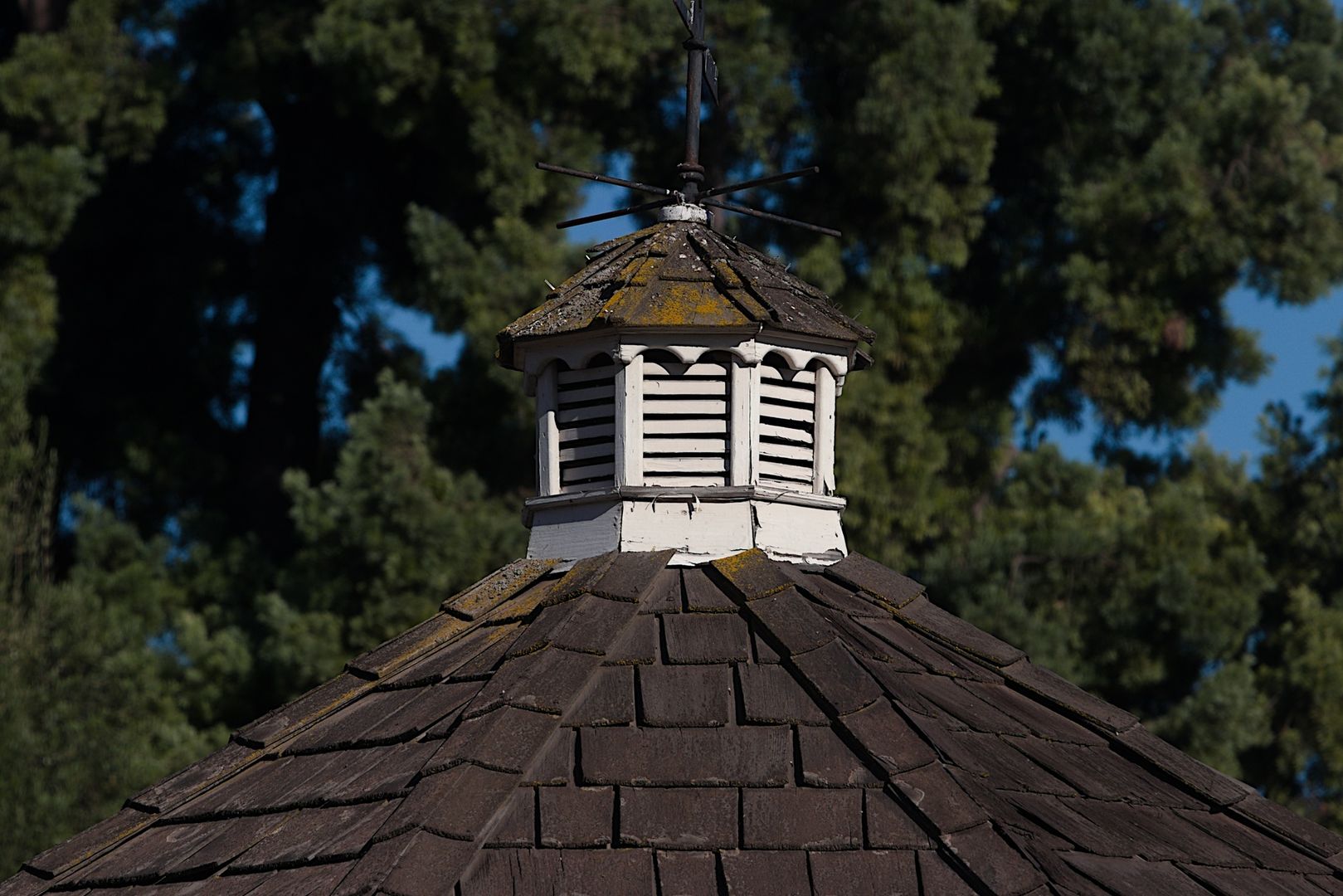 Weathered wooden roof cupola with open slats above a shingled roof